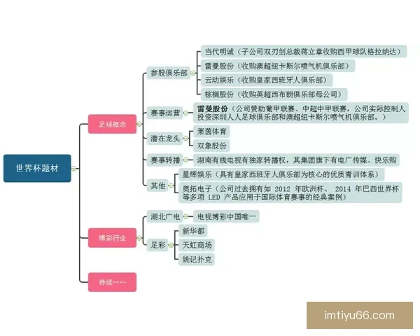 2026年世界杯参赛队伍全解析：扩军后的新格局与强队动态